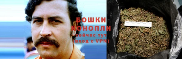 стафф Абаза