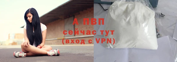 стафф Абаза