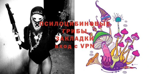 крисы Алексеевка