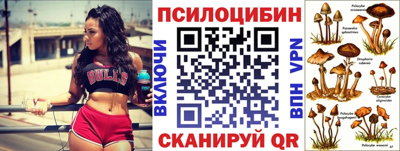 Галлюциногенные грибы Psilocybe  кракен ссылки  Северодвинск 